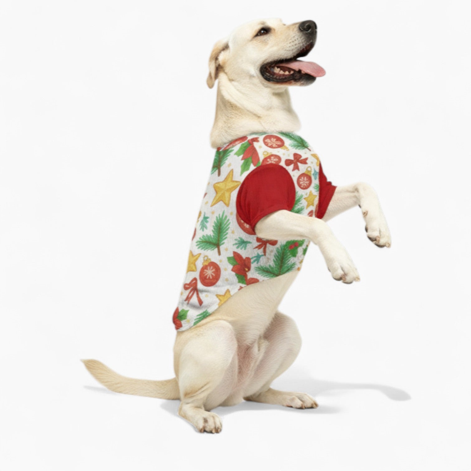 Marley - Dog Wool Sweater