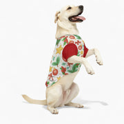 Marley - Dog Wool Sweater