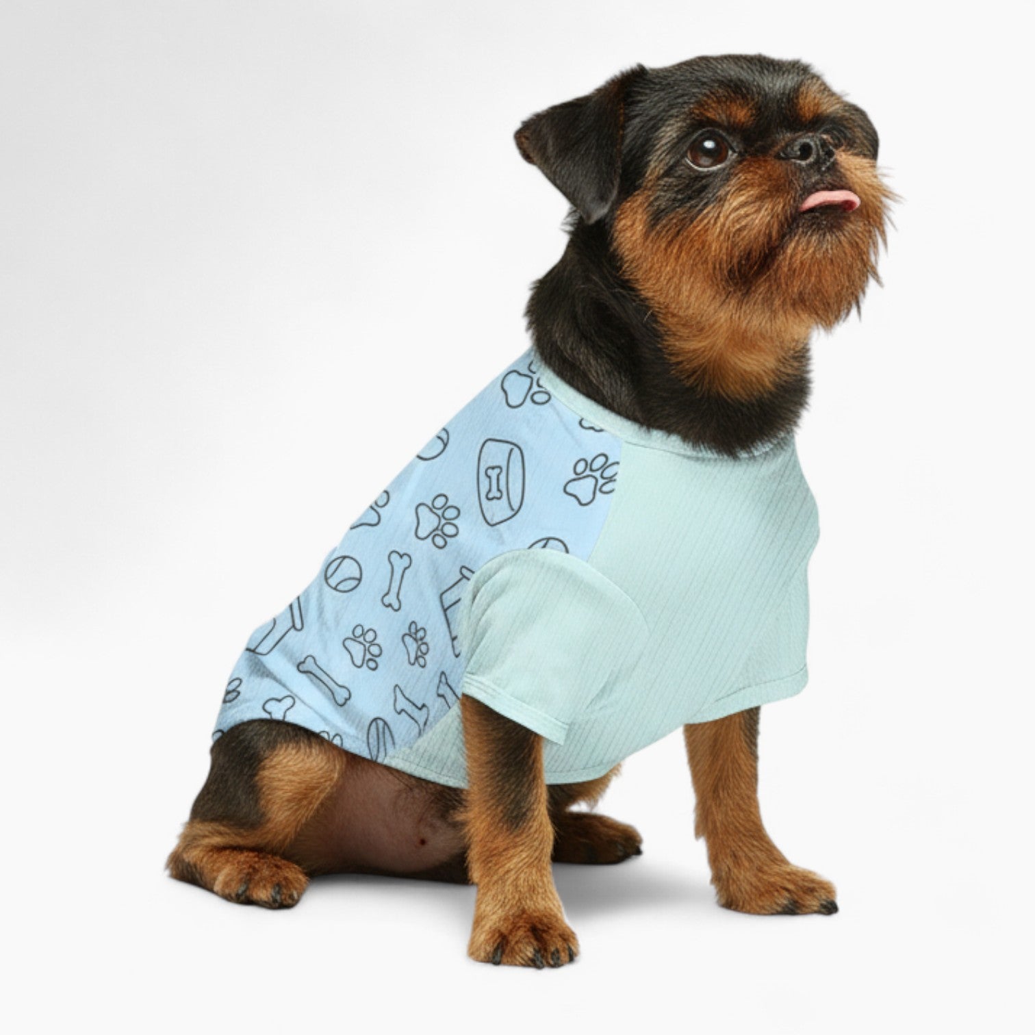 Snoopy - Dog  Wool Sweater