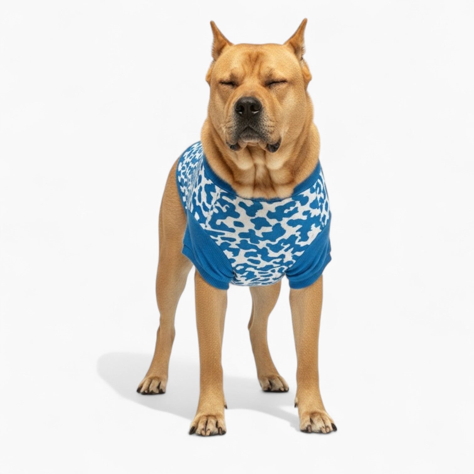 Benji - Dog Wool Sweater