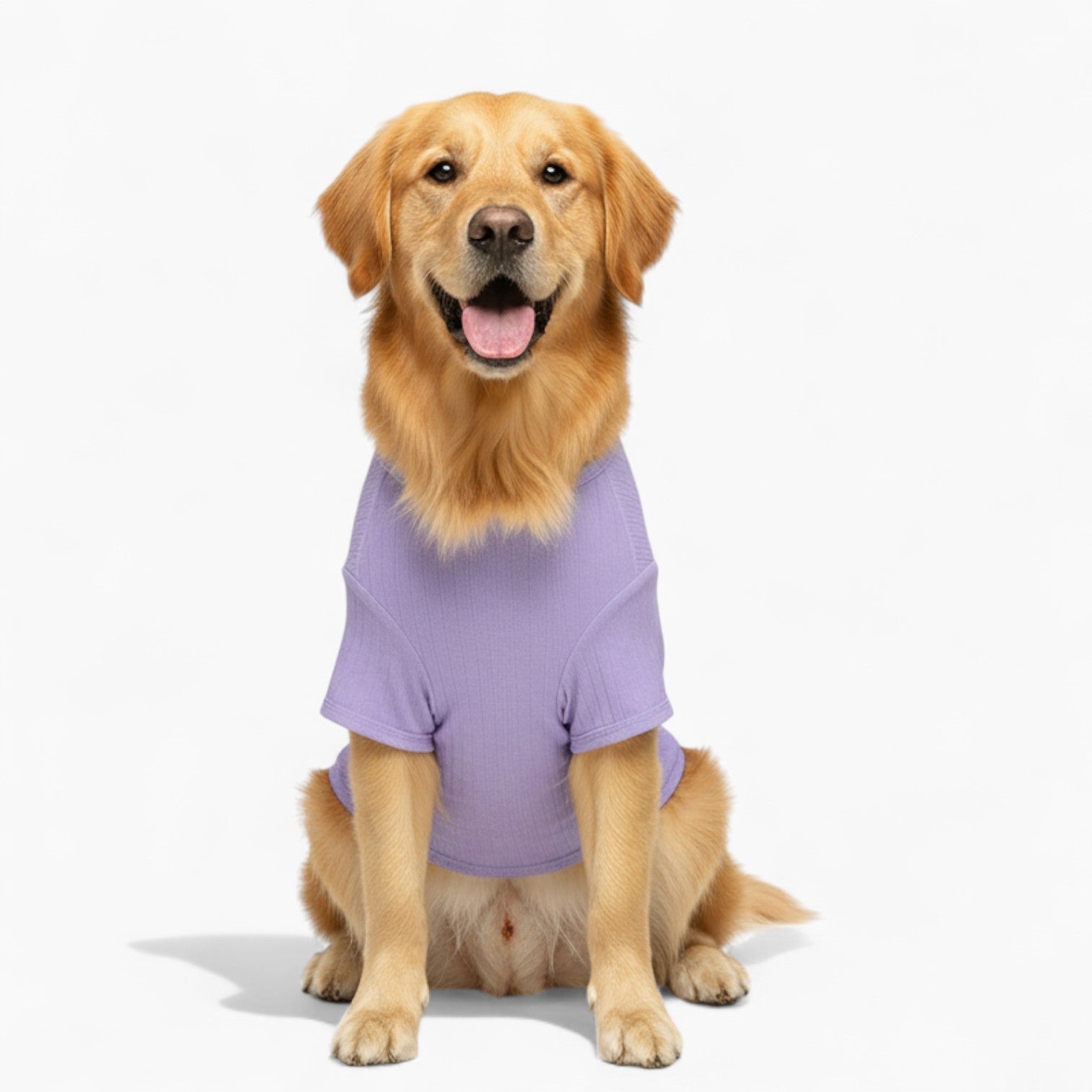 Penny - Dog Wool Sweater