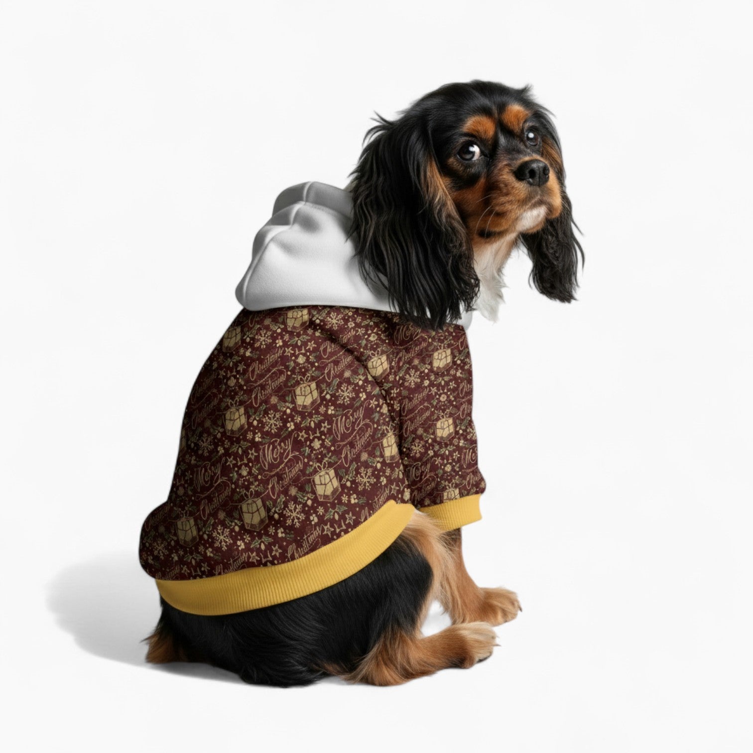 Zoey - Dog hoodie