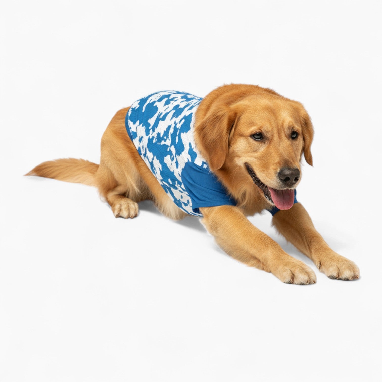 Benji - Dog Wool Sweater