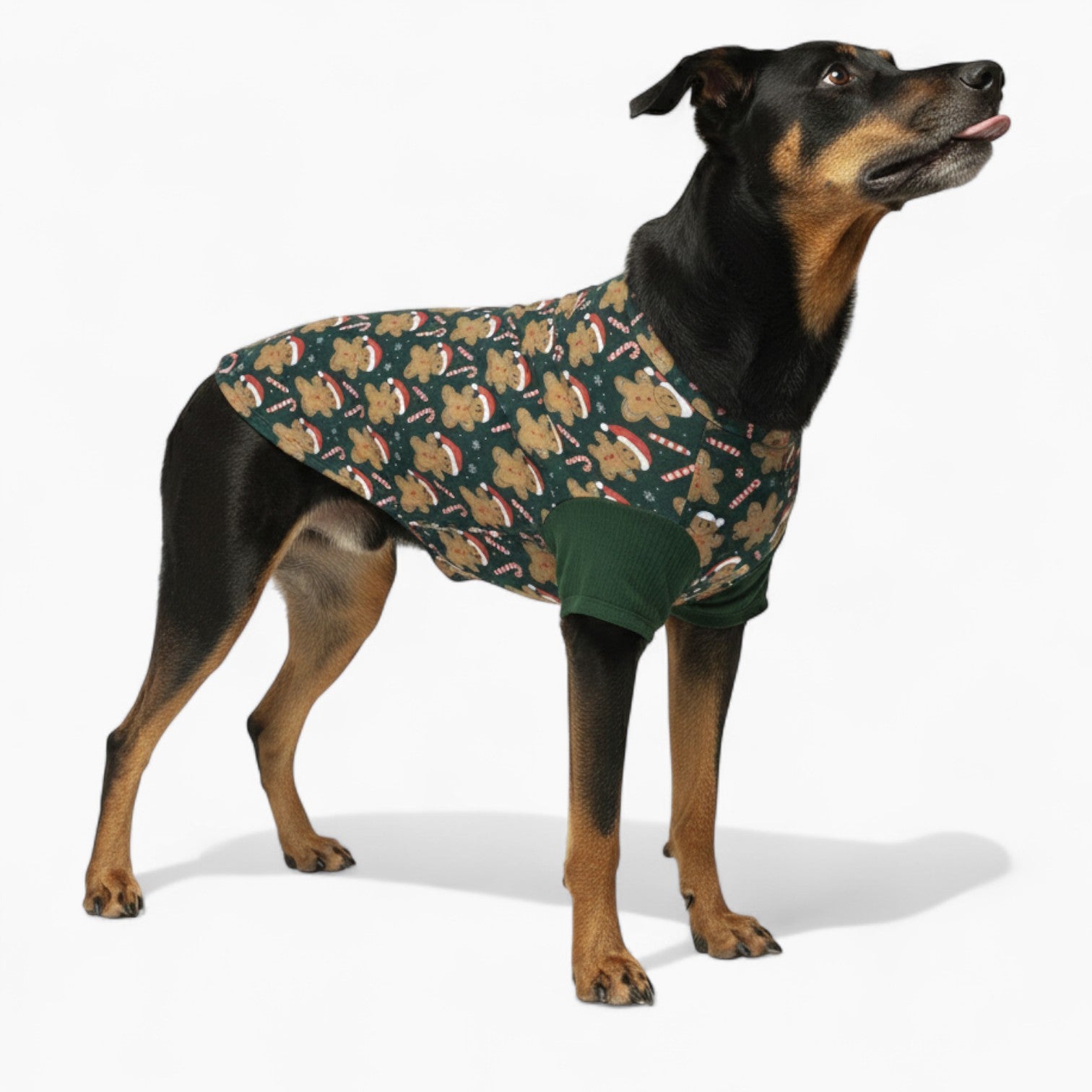 Romeo - Dog Wool Sweater