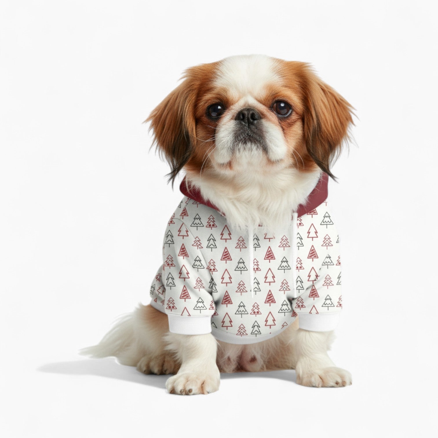 Rocky - Dog hoodie