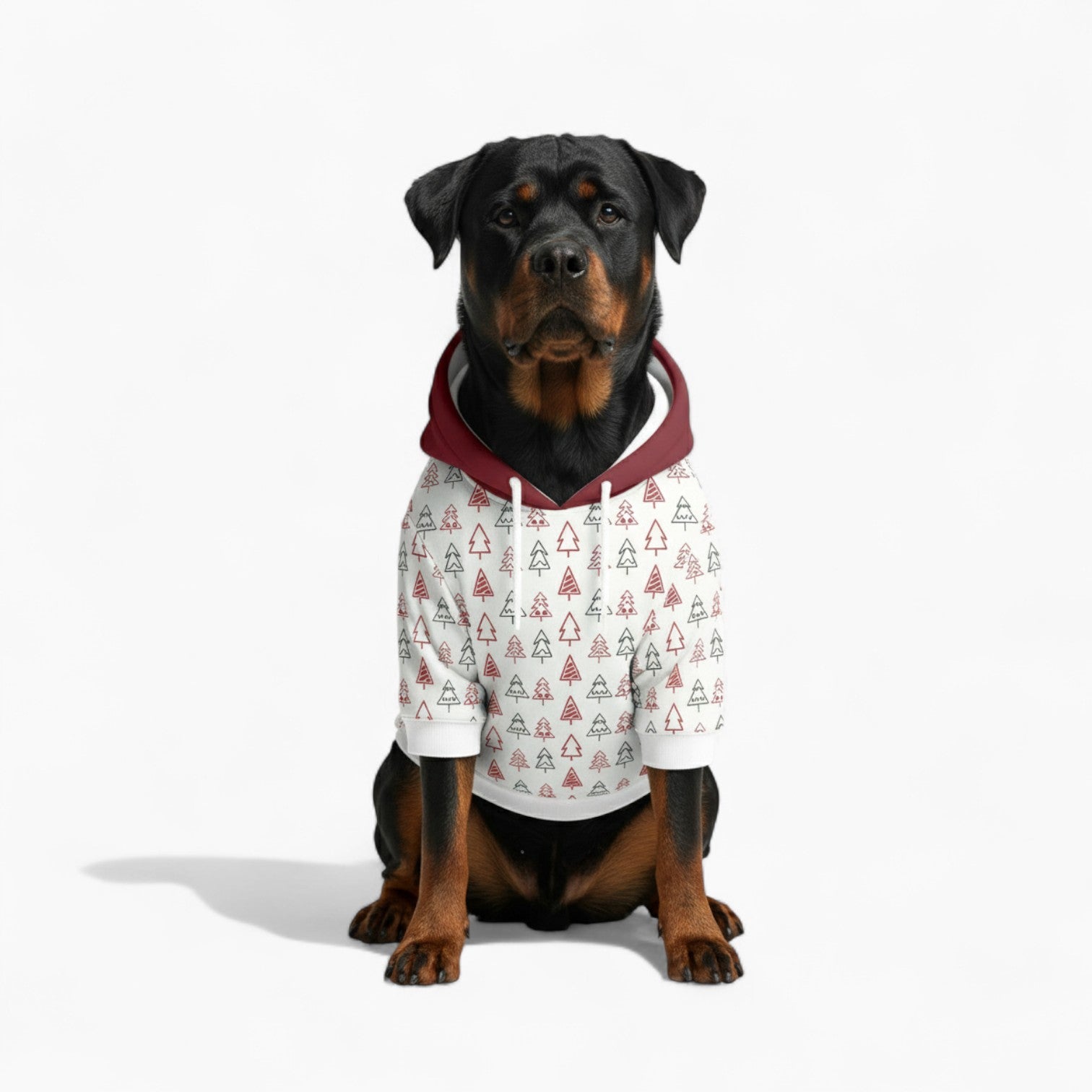Rocky - Dog hoodie