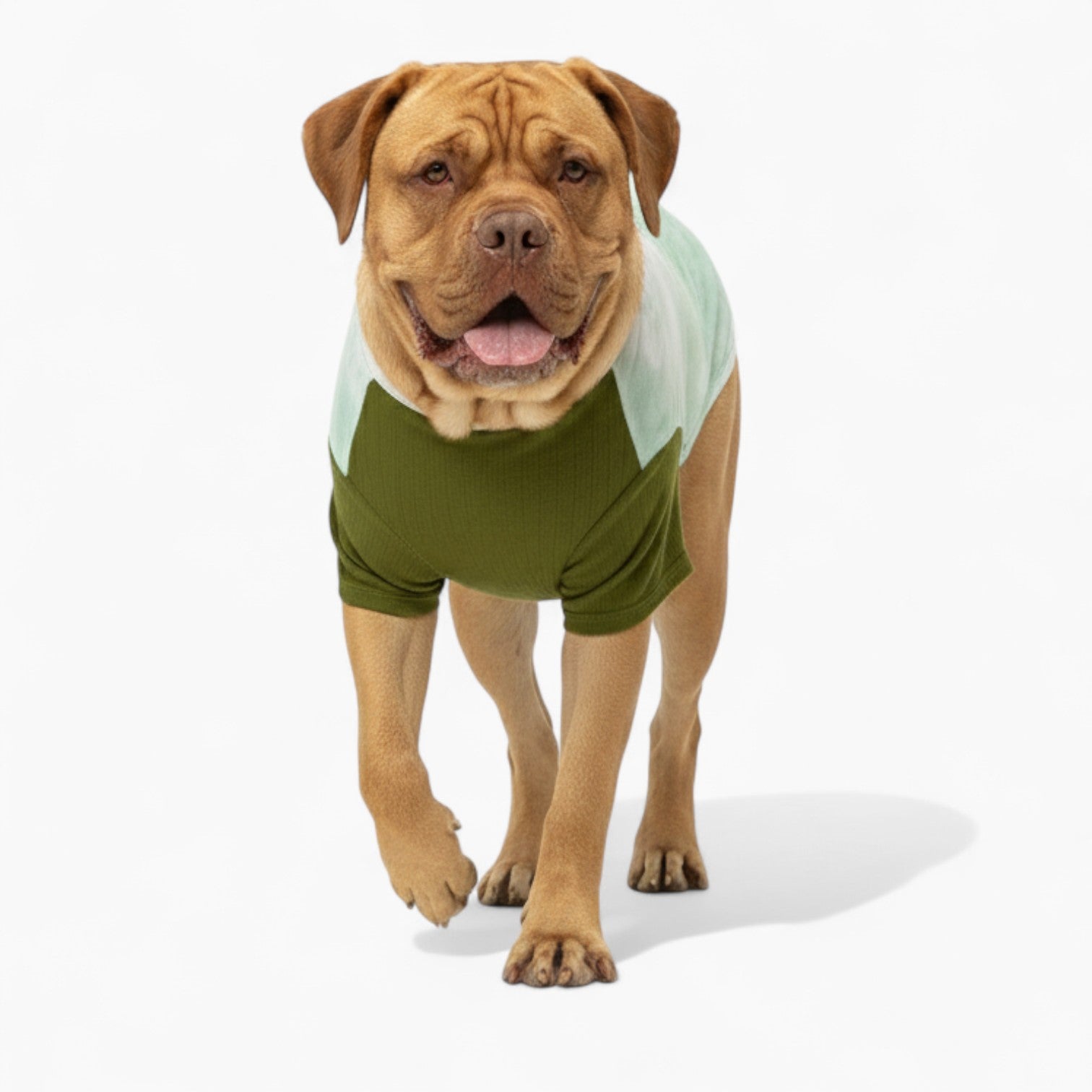 Loui - Dog Wool Sweater