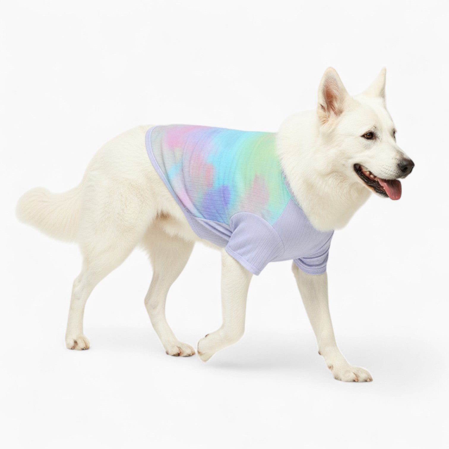 Lucy - Dog Wool Sweater