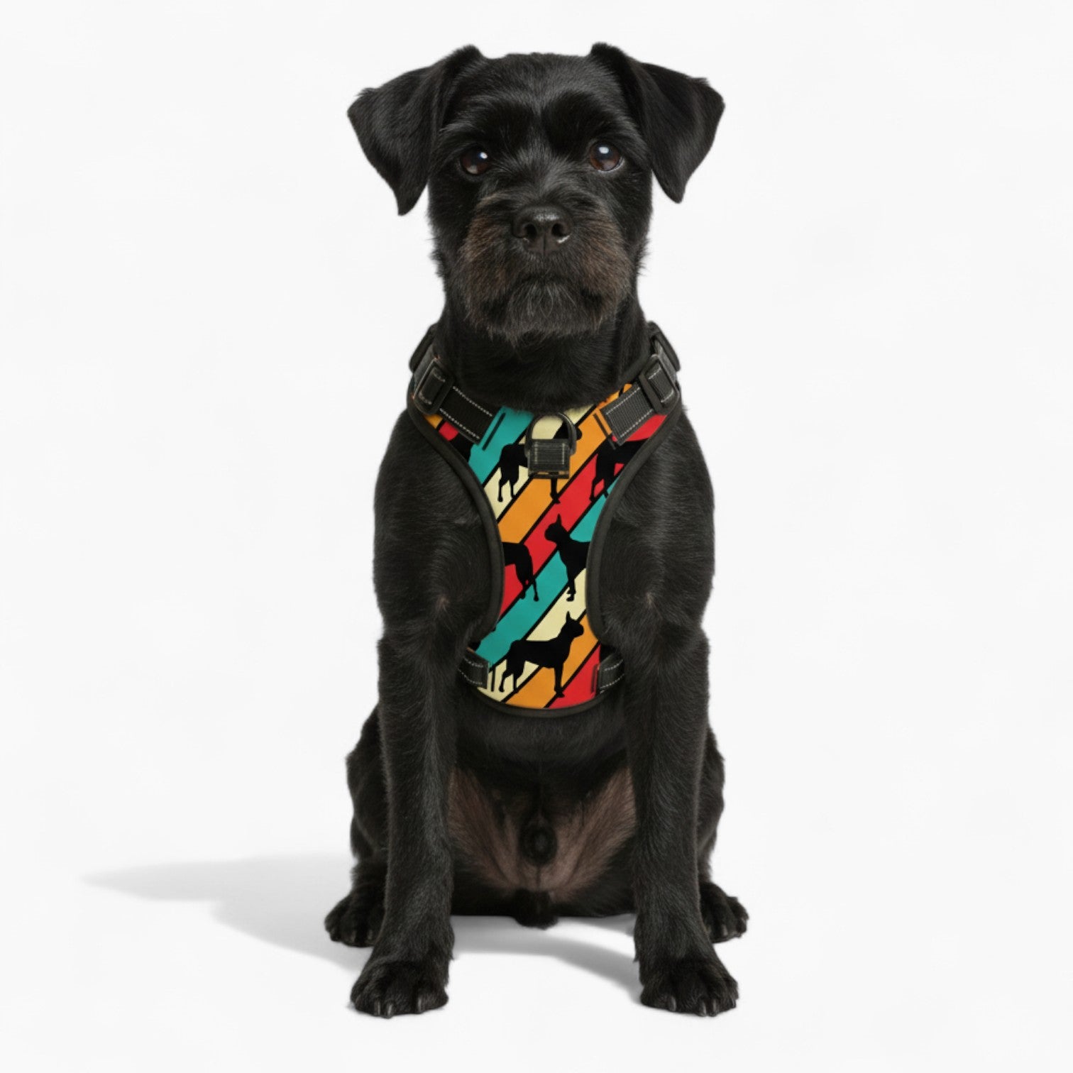 Lily  - NO-PULL Dog Harness & Leash Set | for small and large Dogs