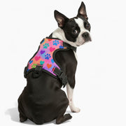 Rosy - NO-PULL Dog Harness & Leash Set | for small and large Dogs