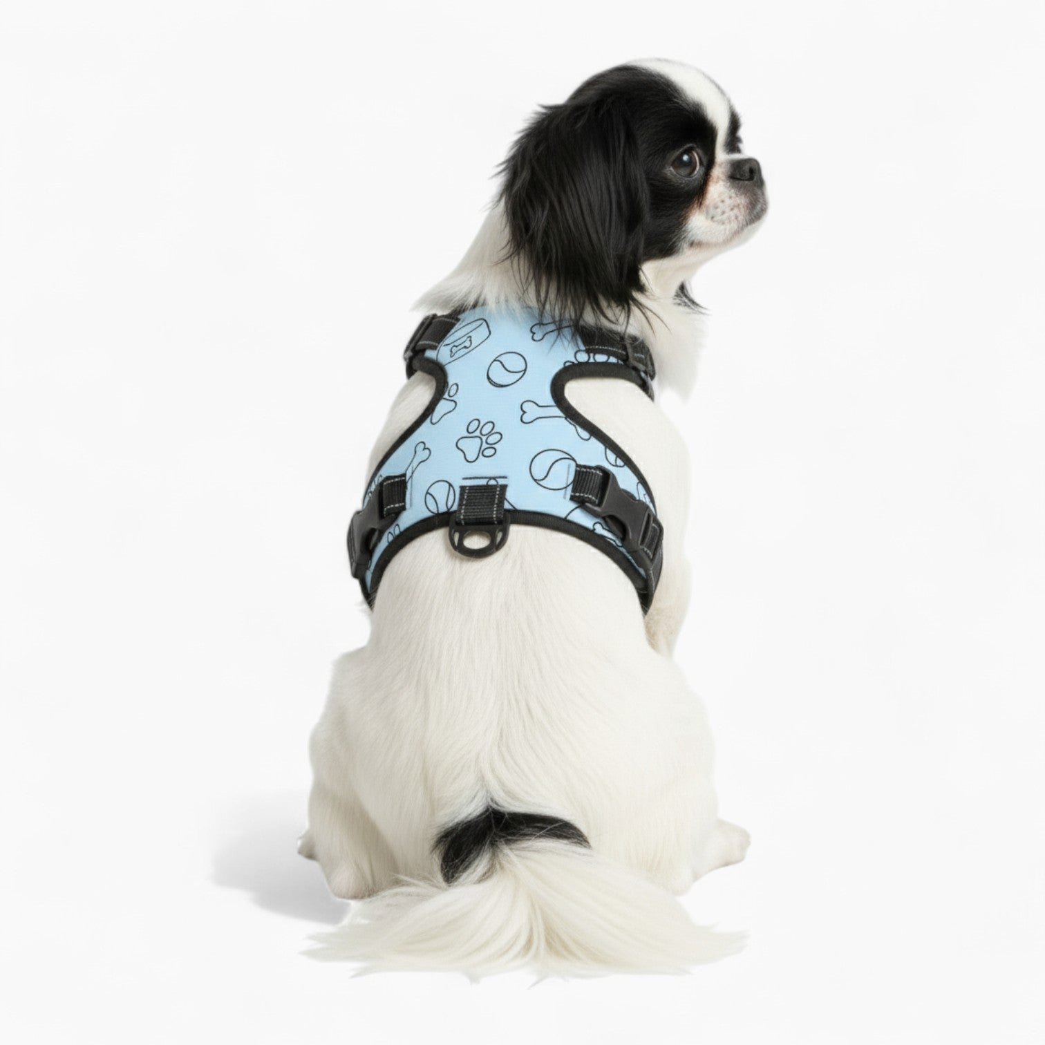 Rex - NO-PULL Dog Harness & Leash Set | for small and large Dogs