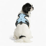 Rex - NO-PULL Dog Harness & Leash Set | for small and large Dogs