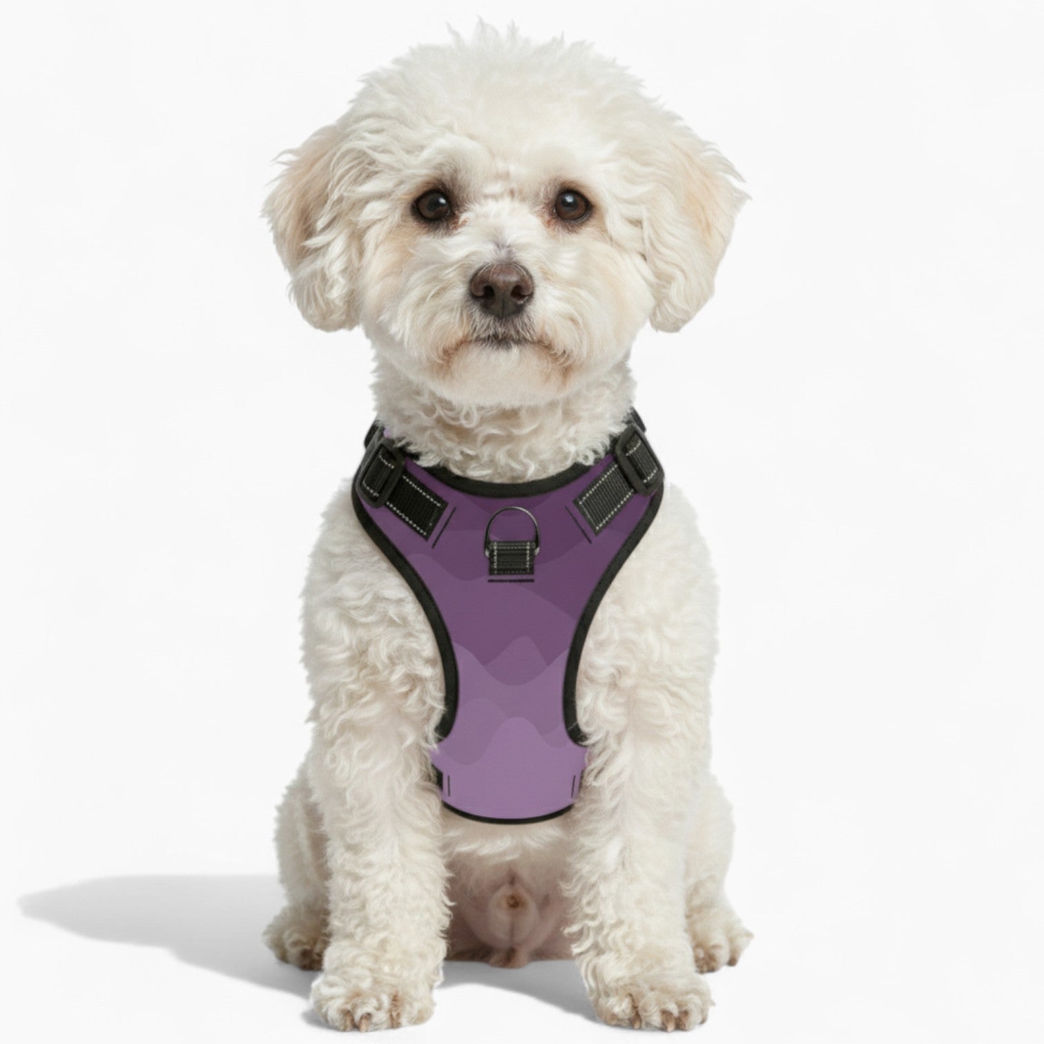 Cooper - NO-PULL Dog Harness & Leash Set | for small and large Dogs