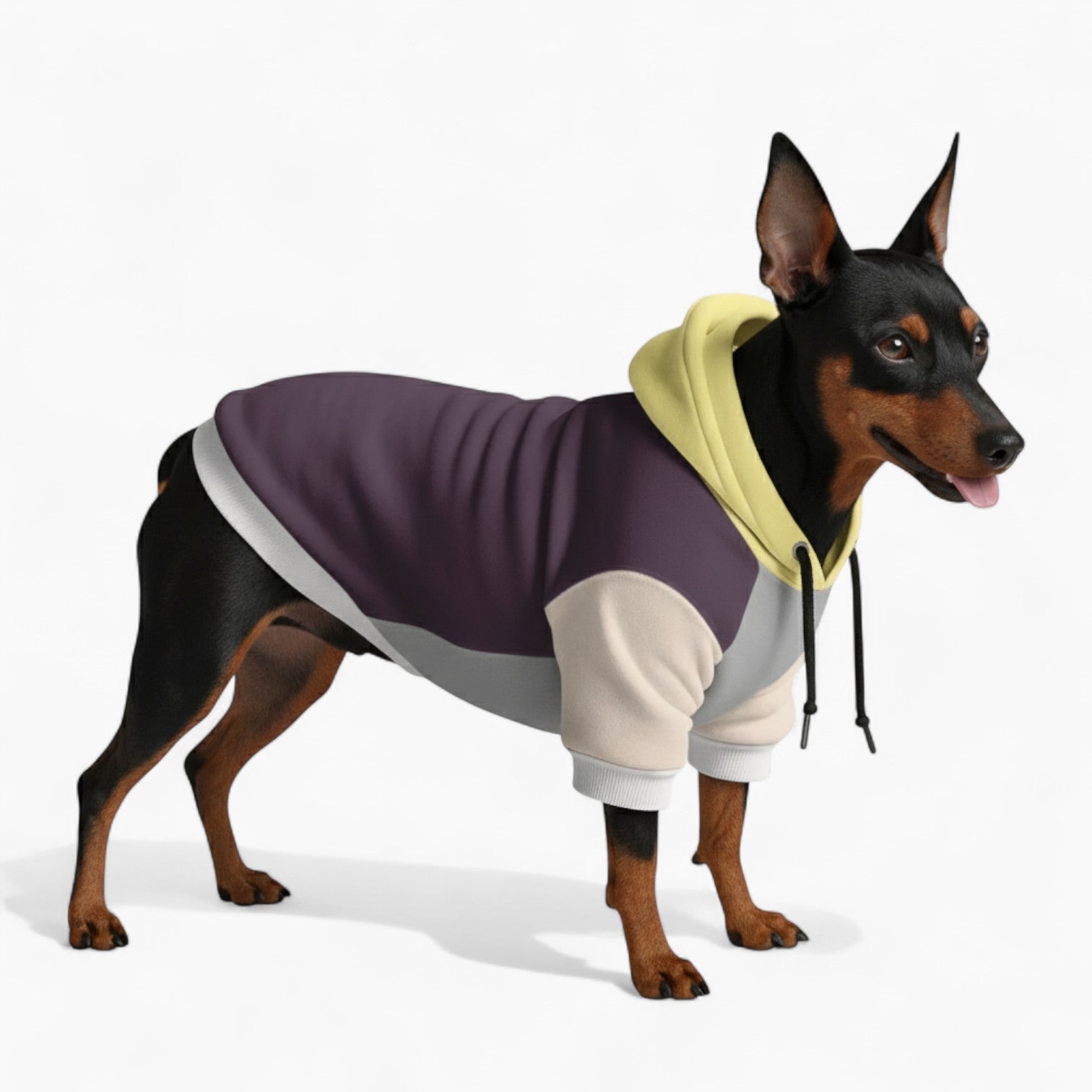 Thor - Dog hoodie