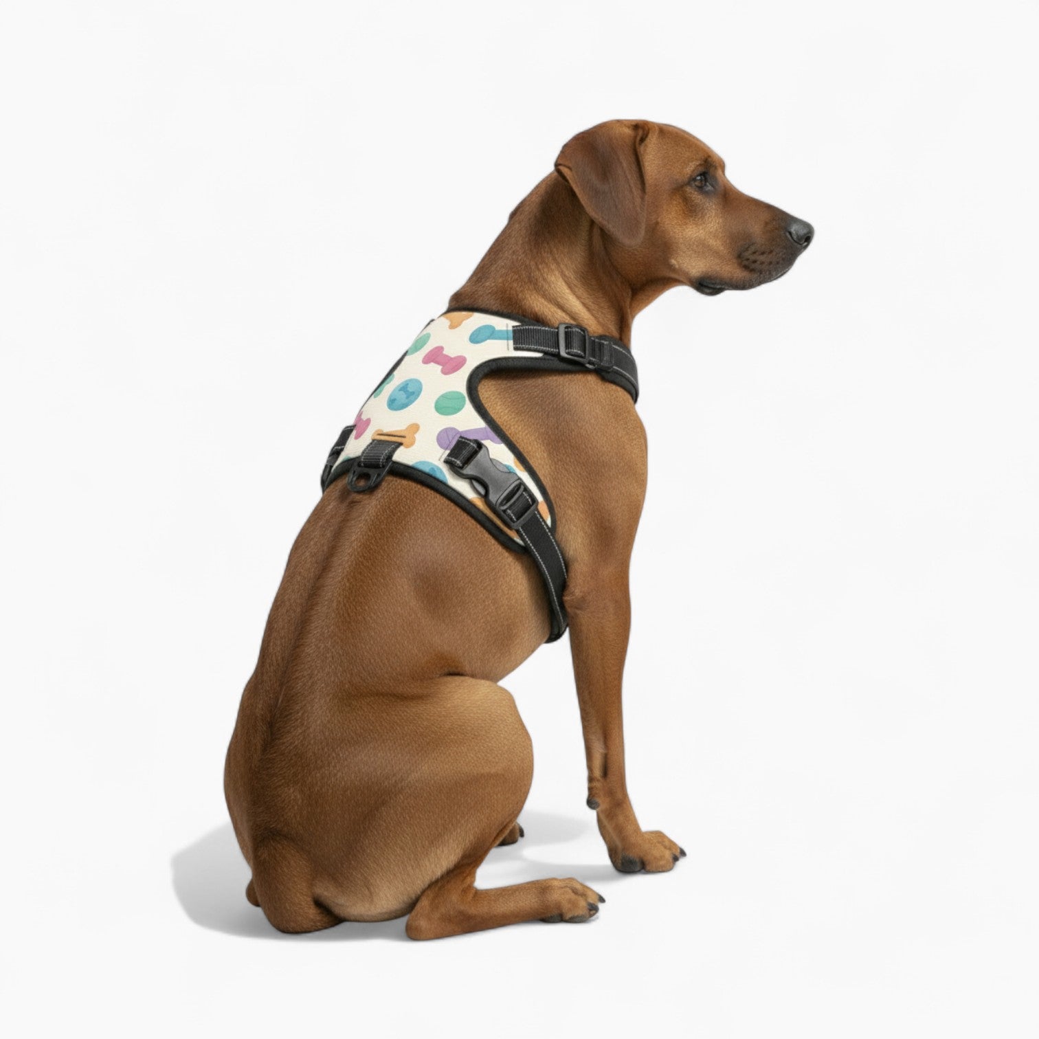 Luke - NO-PULL Dog Harness & Leash Set | for small and large Dogs