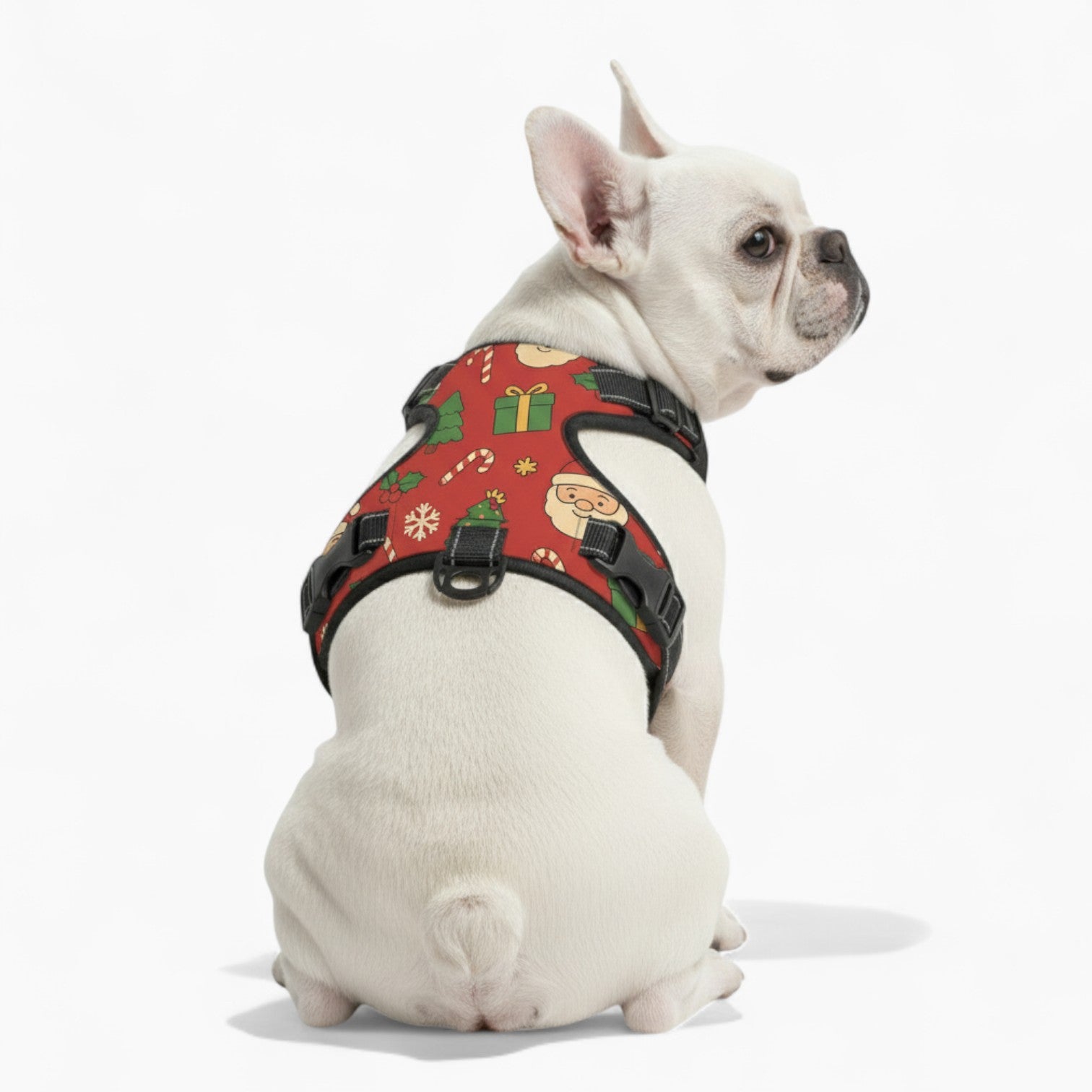 Stella - NO-PULL Dog Harness & Leash Set | for small and large Dogs