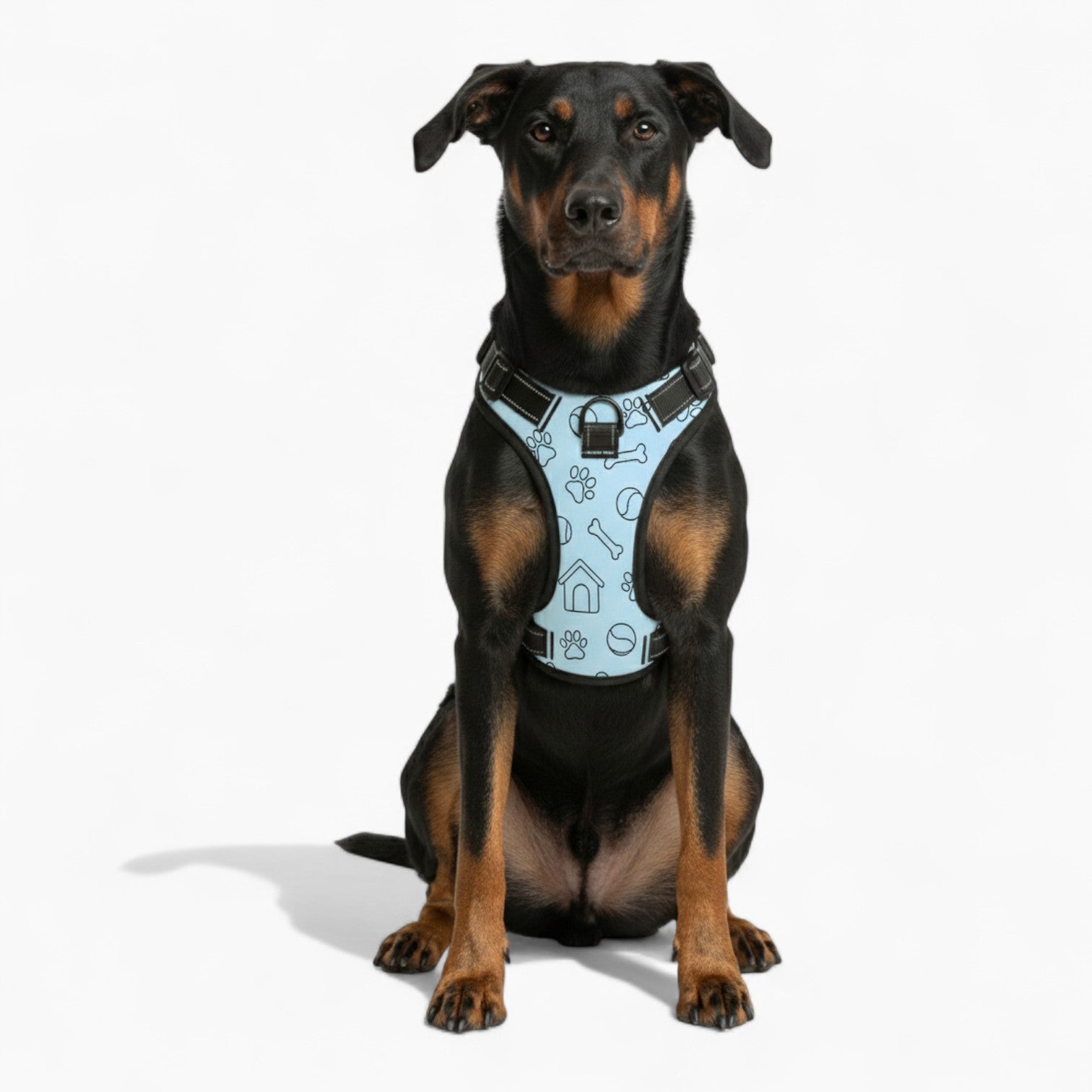 Rex - NO-PULL Dog Harness & Leash Set | for small and large Dogs