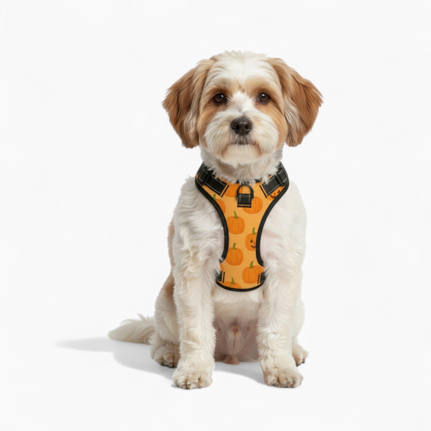 Jay  - NO-PULL Dog Harness & Leash Set | for small and large Dogs