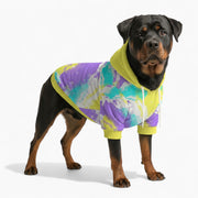 Tito - Dog hoodie
