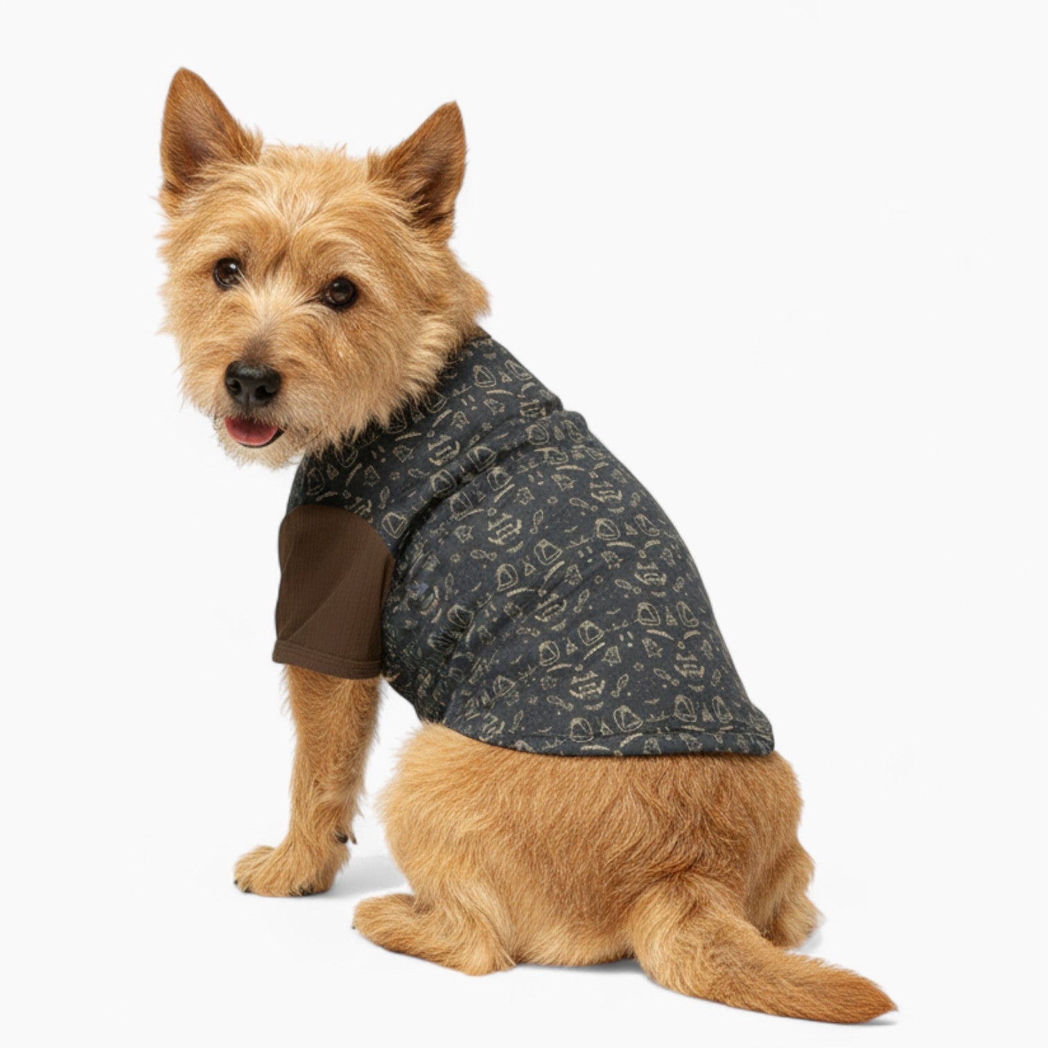 Alex - Dog Wool Sweater