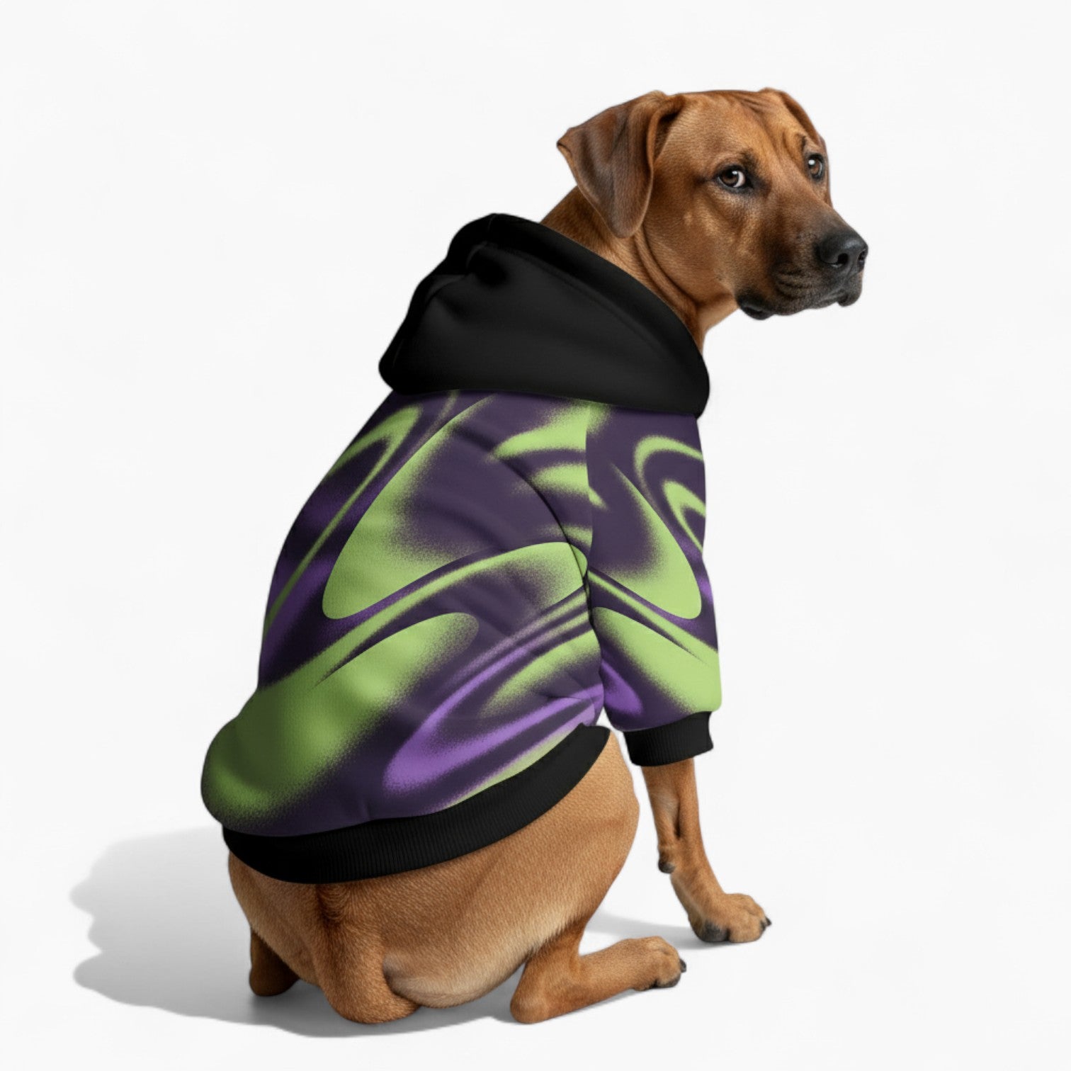 Bowen - Dog hoodie