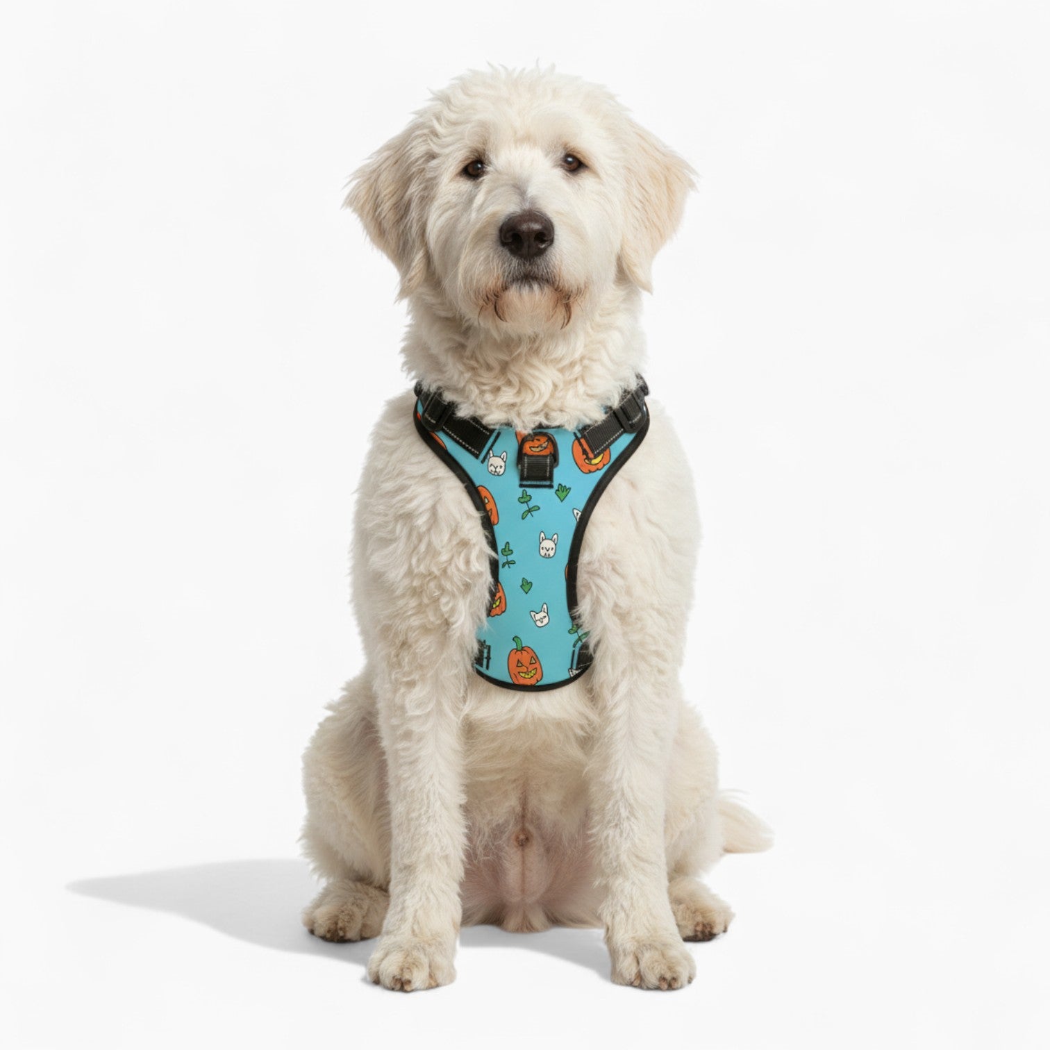 Ozzy  - NO-PULL Dog Harness & Leash Set | for small and large Dogs