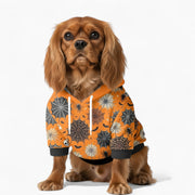Winnie - Dog hoodie