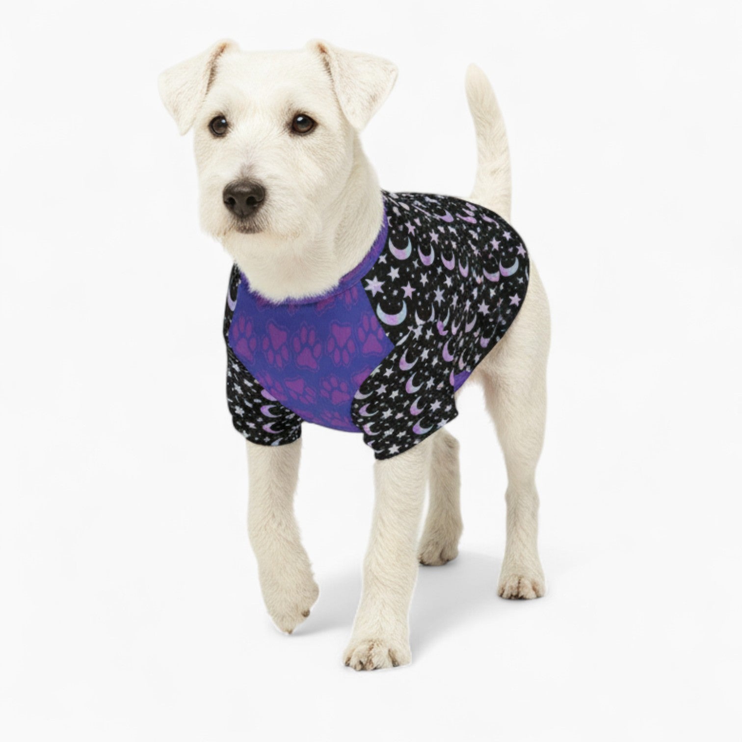 Ziggy - Dog Wool Sweater