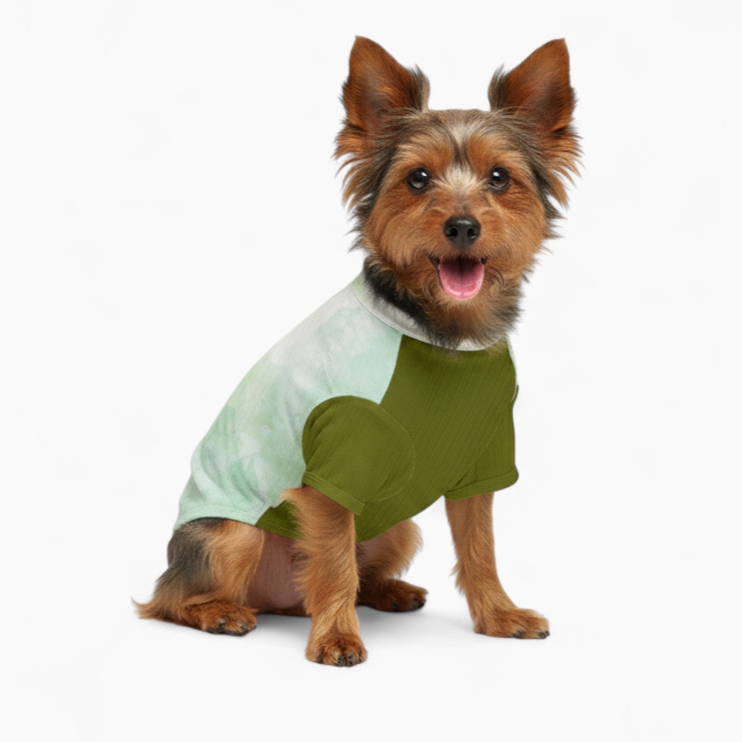 Loui - Dog Wool Sweater