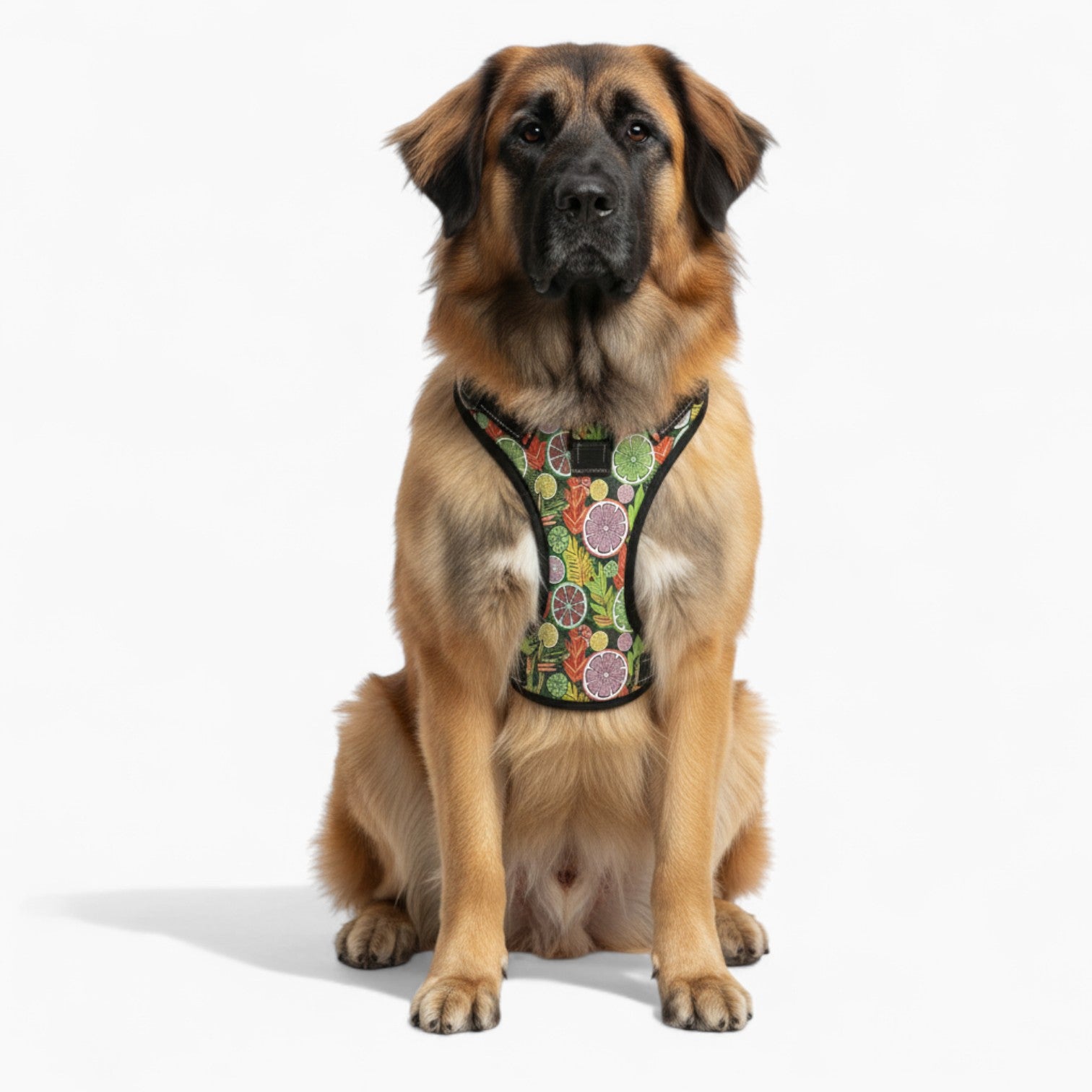 Zoe  - NO-PULL Dog Harness & Leash Set | for small and large Dogs