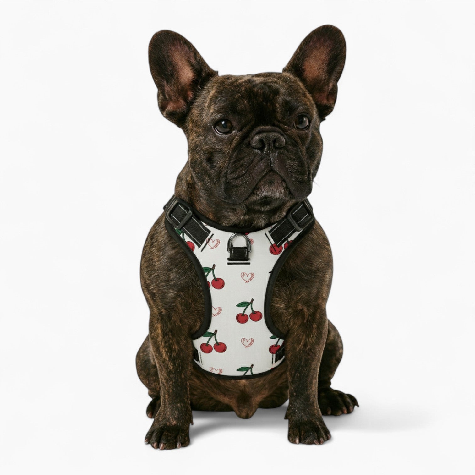 Finn  - NO-PULL Dog Harness & Leash Set | for small and large Dogs
