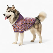 Ace - Dog hoodie