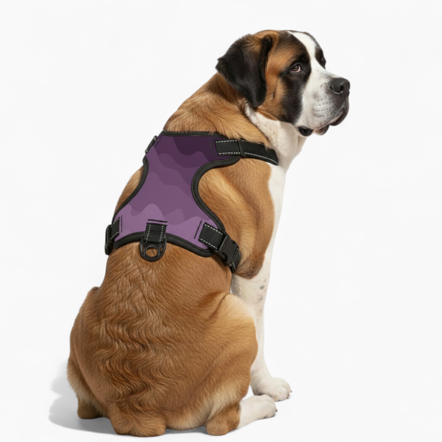 Cooper - NO-PULL Dog Harness & Leash Set | for small and large Dogs
