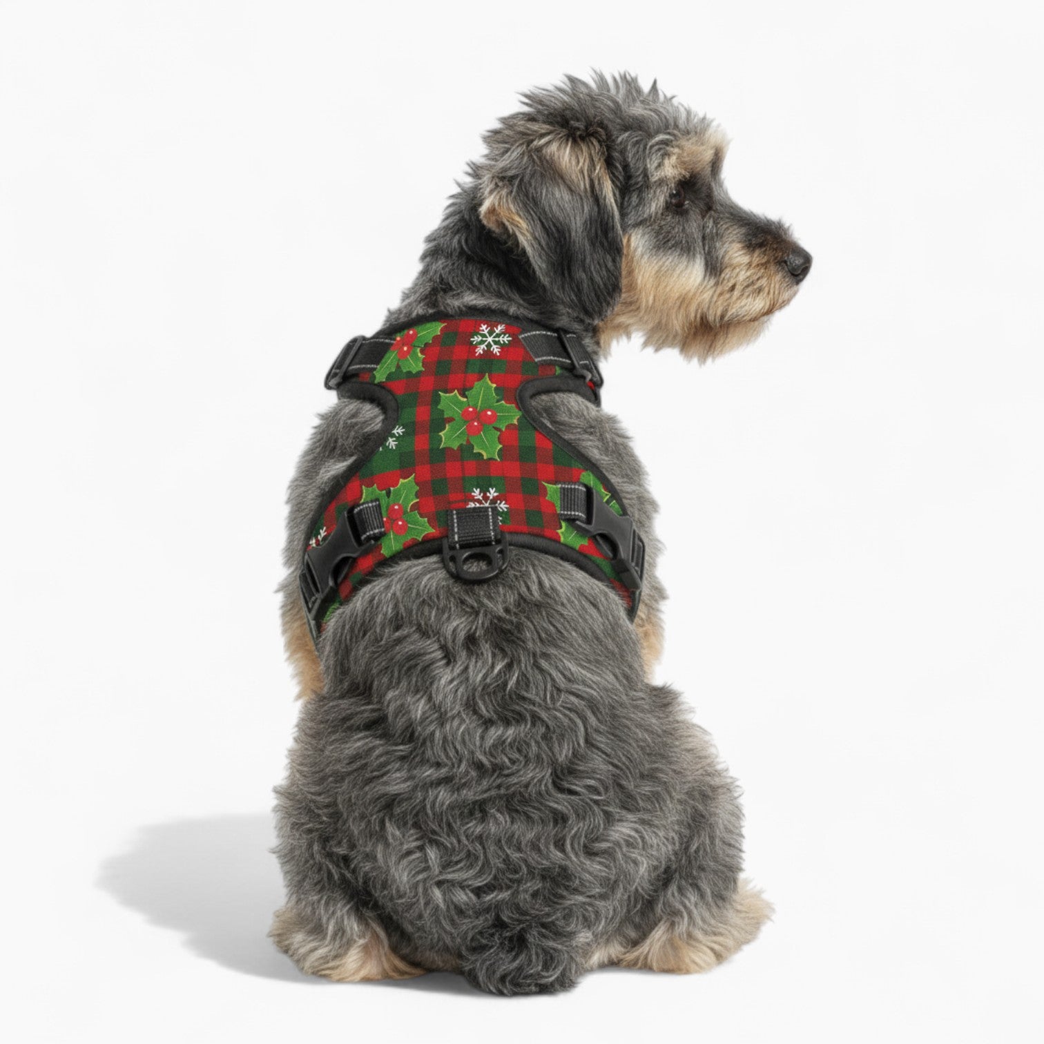 Lexi - NO-PULL Dog Harness & Leash Set | for small and large Dogs