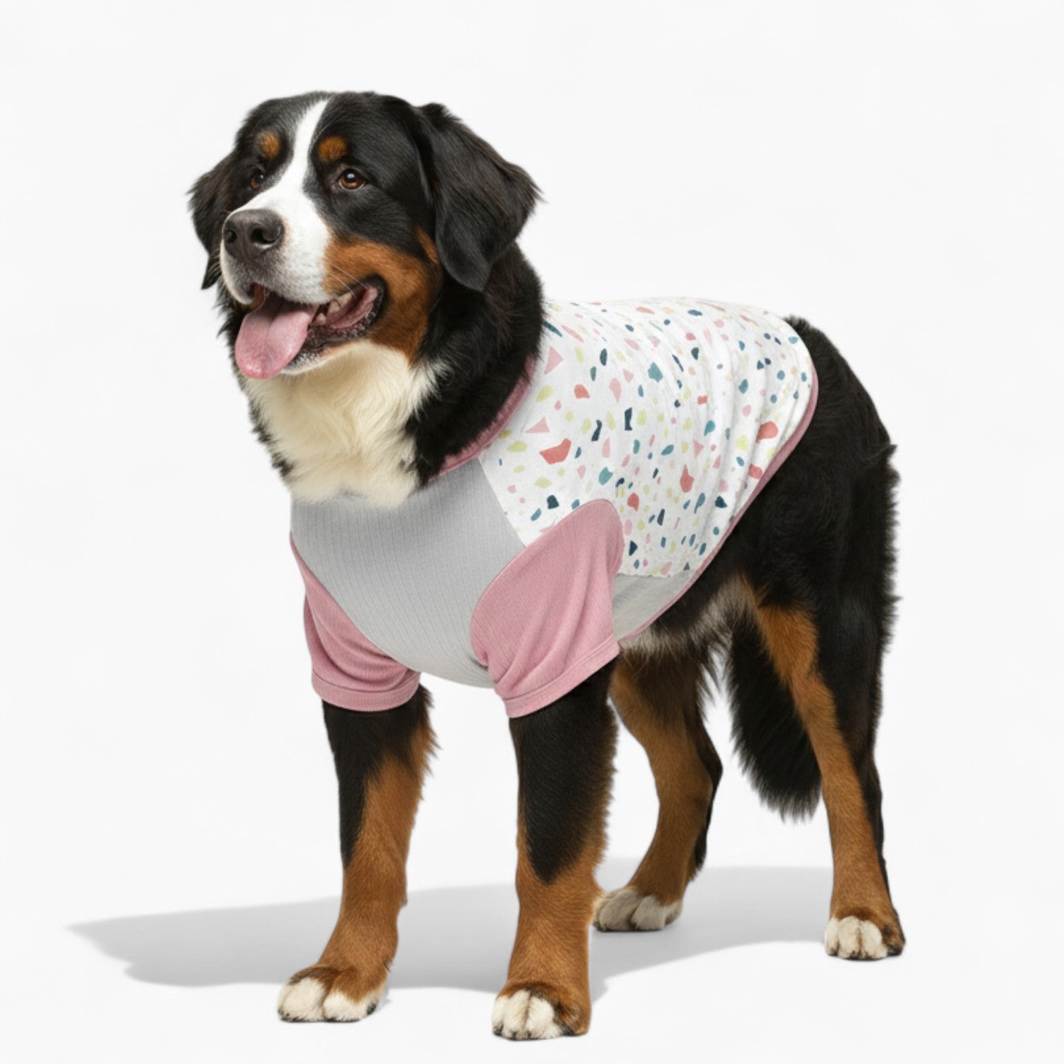 Pitcher - Dog Wool Sweater