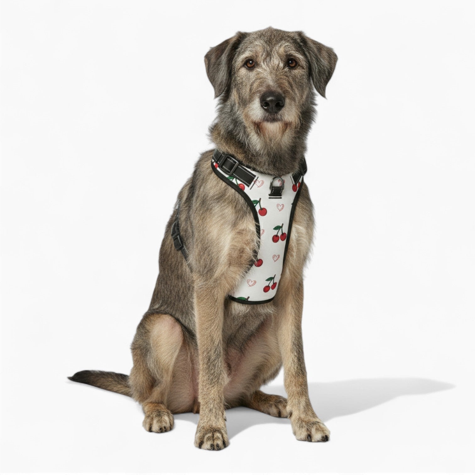 Finn  - NO-PULL Dog Harness & Leash Set | for small and large Dogs