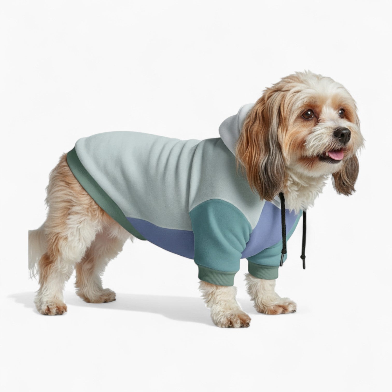 Ross - Dog hoodie