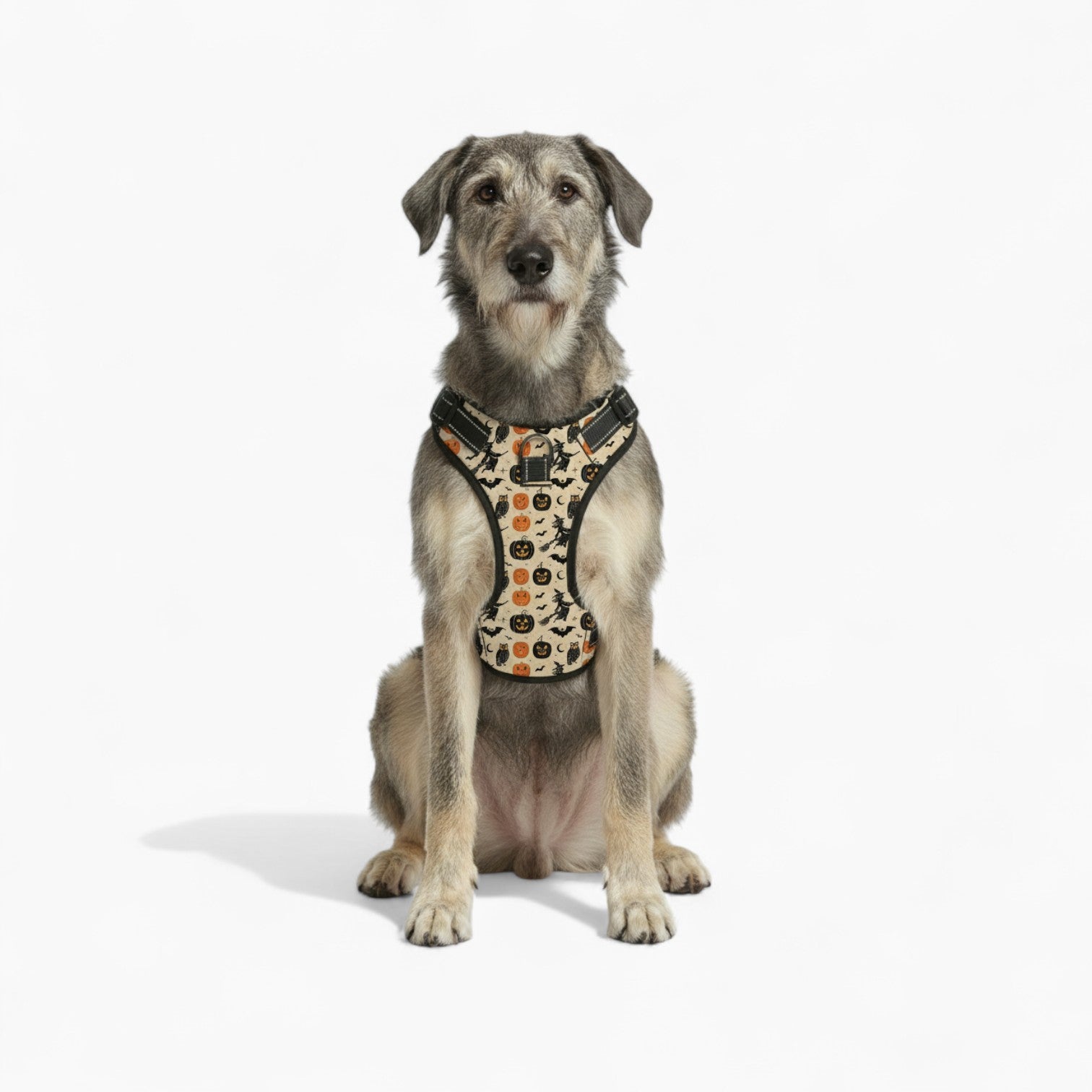 Roxy - NO-PULL Dog Harness & Leash Set | for small and large Dogs