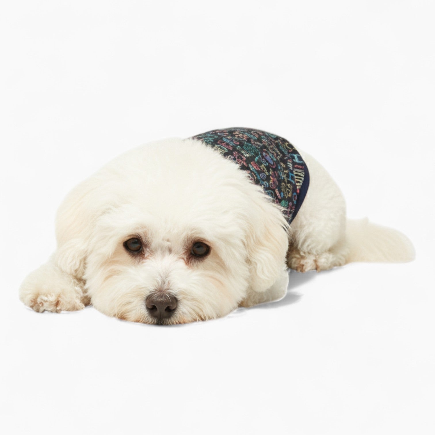 Maple - DOg Wool Sweater