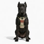 Tayson  - NO-PULL Dog Harness & Leash Set | for small and large Dogs
