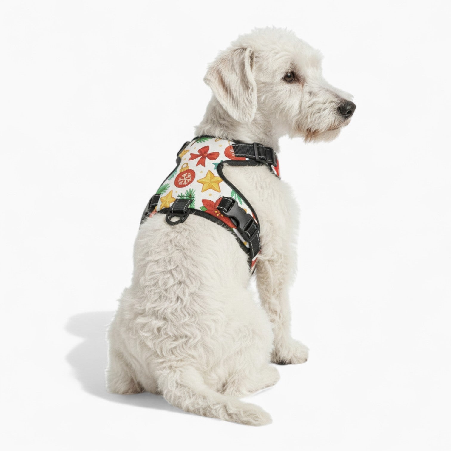 Mia  - NO-PULL Dog Harness & Leash Set | for small and large Dog