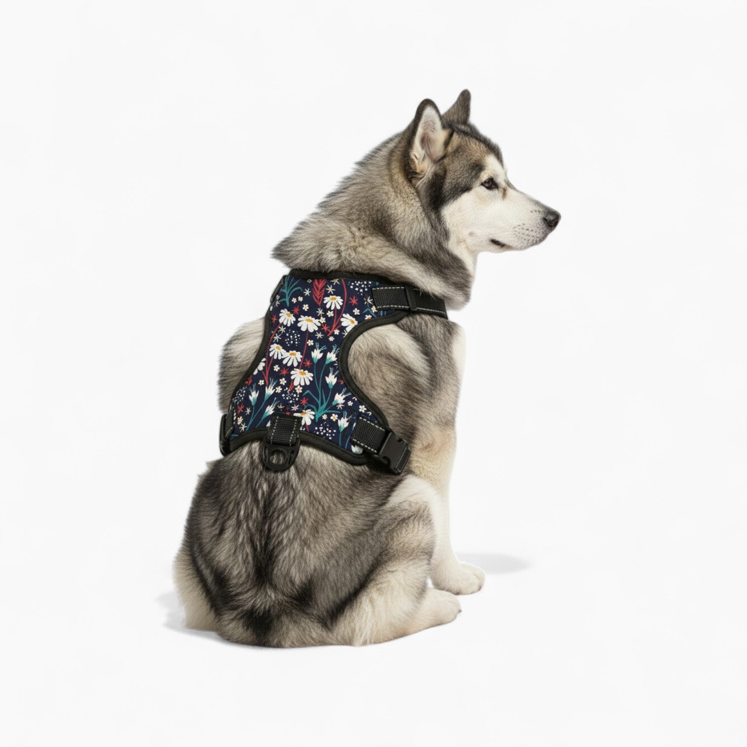 Juce - NO-PULL Dog Harness & Leash Set | for small and large Dogs