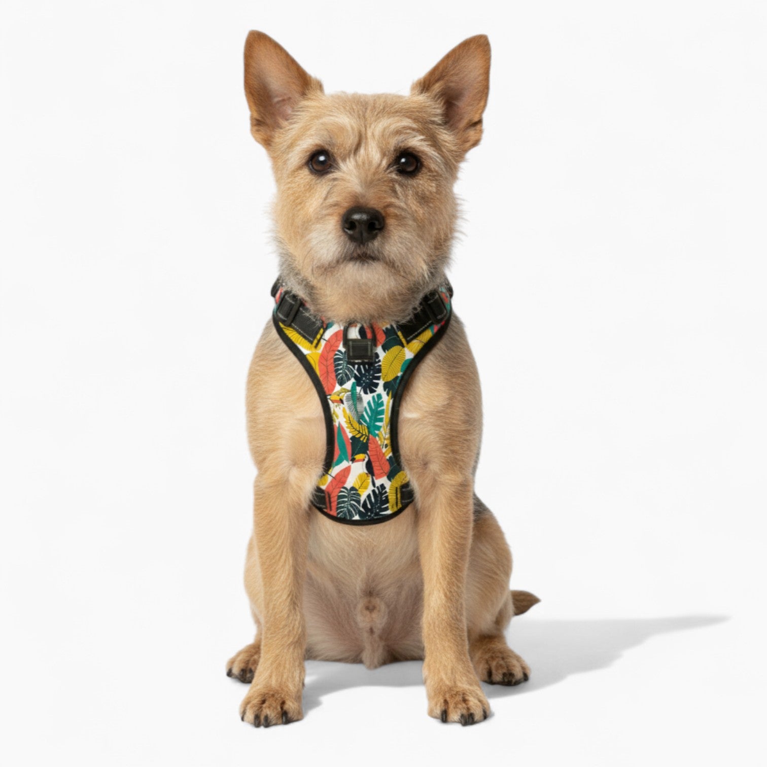 Chloe - NO-PULL Dog Harness & Leash Set | for small and large Dogs