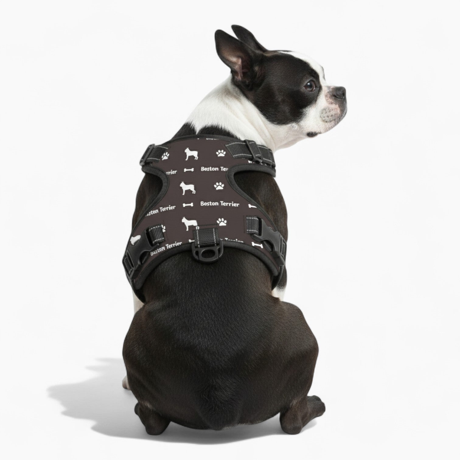 Nova- NO-PULL Dog Harness & Leash Set | for small and large for Dogs