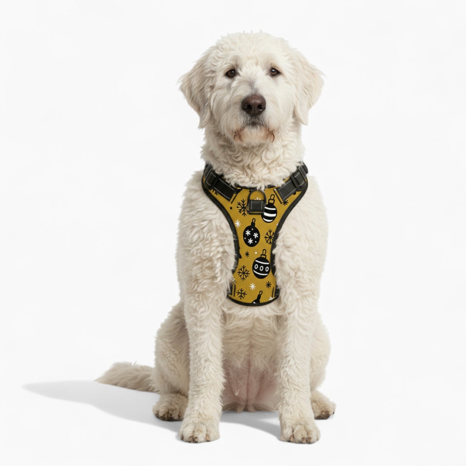 Hunter - NO-PULL Dog Harness & Leash Set | for small and large Dogs