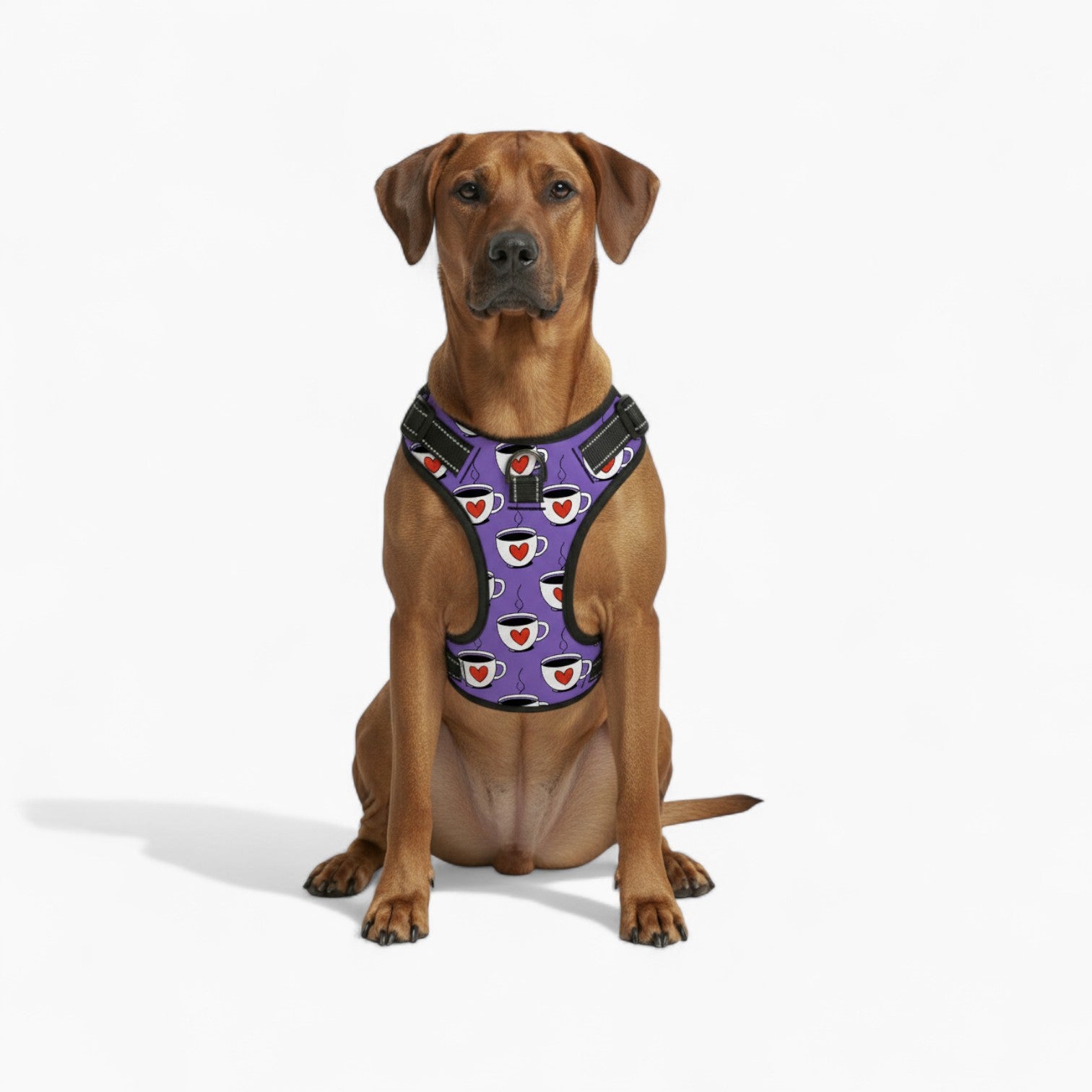 Winston  - NO-PULL Dog Harness & Leash Set | for small and large Dogs