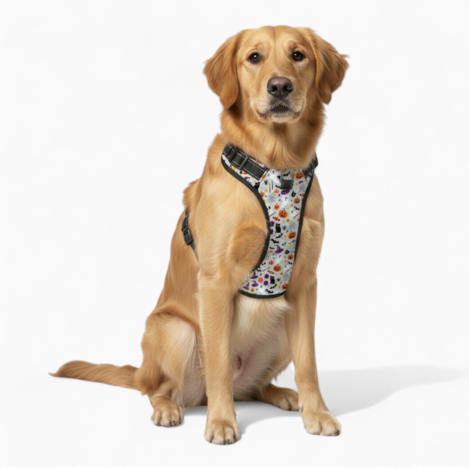 Max - NO-PULL Dog Harness & Leash Set | for small and large Dogs