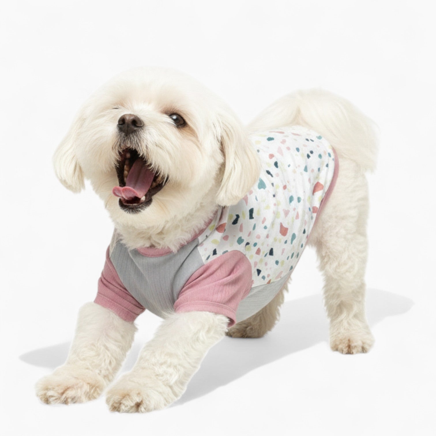 Pitcher - Dog Wool Sweater