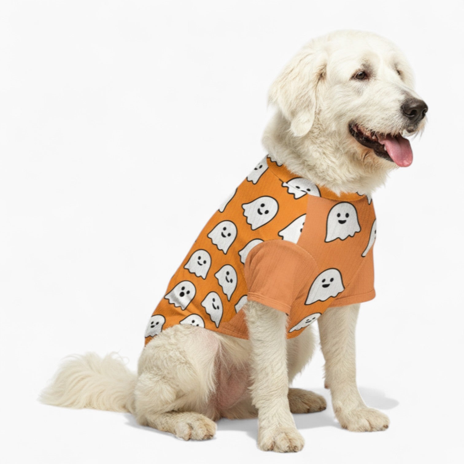 Repper - Dog Wool  Sweater