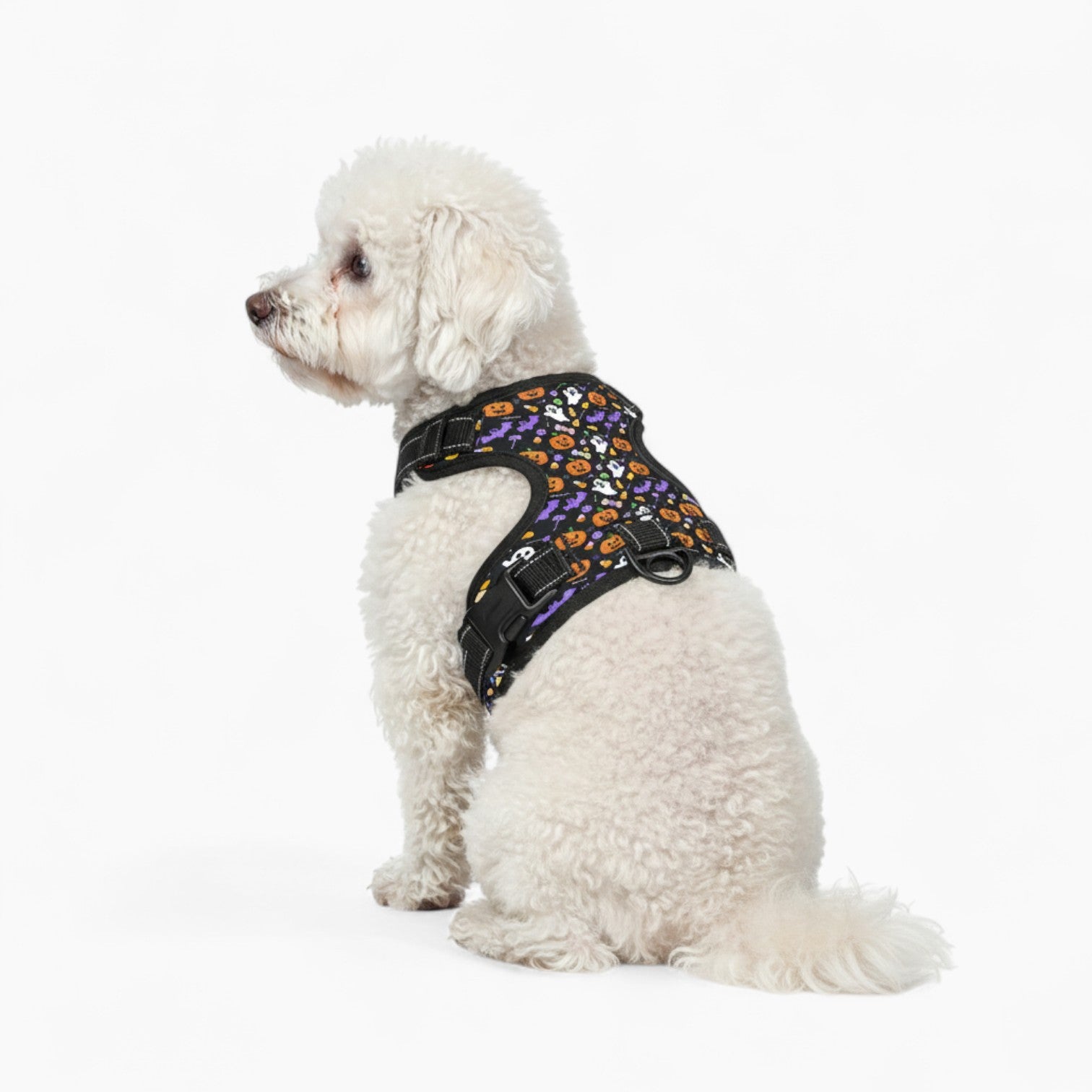 Duke  - NO-PULL Dog Harness & Leash Set | for small and large Dogs